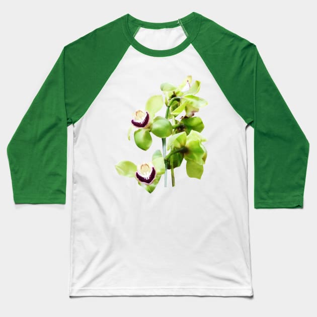 Orchids - Green Cymbidium Orchids Baseball T-Shirt by SusanSavad